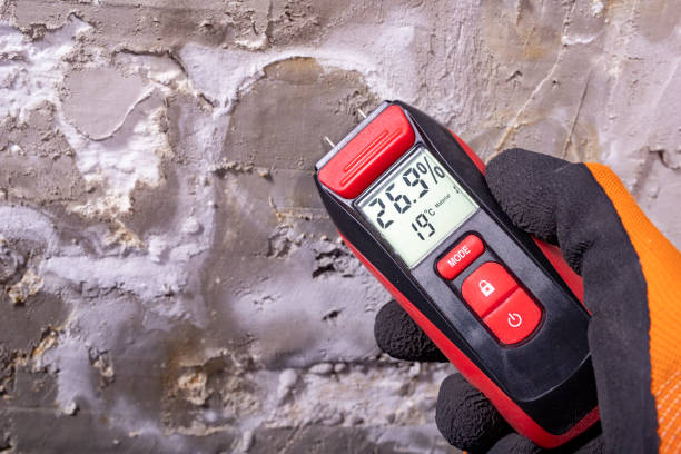 Best Toxic Mold Removal  in Langley, WA
