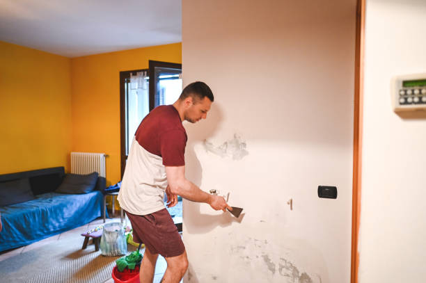 Best Attic Mold Removal  in Langley, WA